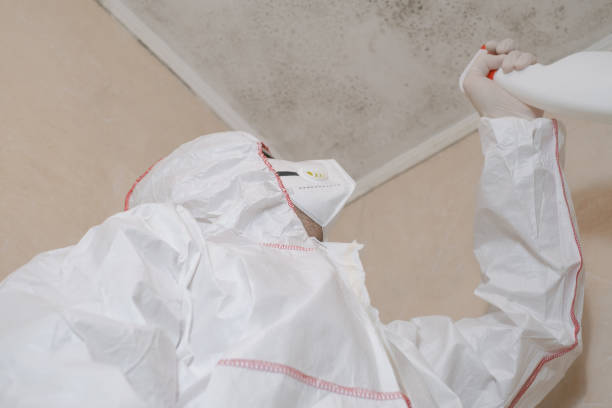 Best Certified Mold Removal  in Honea Path, SC